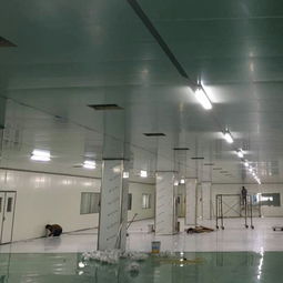 威海電子廠房凈化工程凈化車間等級(jí)裝修