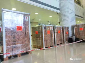 貴醫附院收到一個包裹,里面裝了個 達芬奇