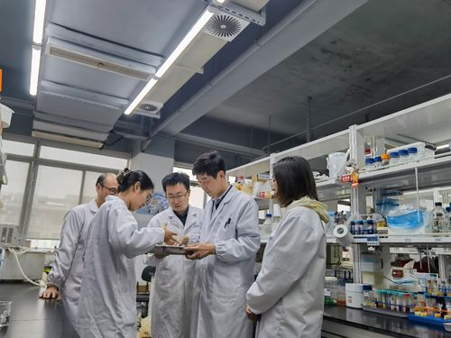 江南大學食品學院深化援疆合作，助力新疆食品科技產業升級