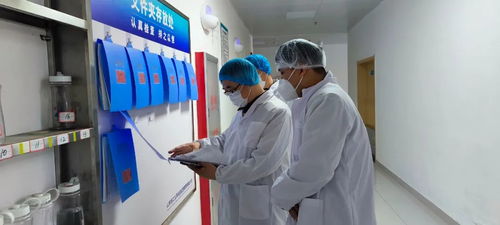 濟寧開展技工院校食堂食品安全專項督導檢查行動，筑牢校園飲食安全防線
